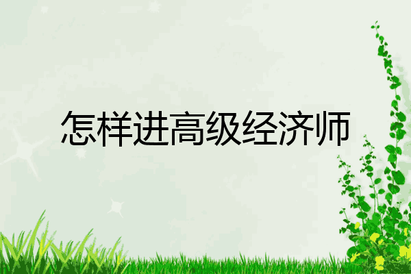 怎样进高级经济师