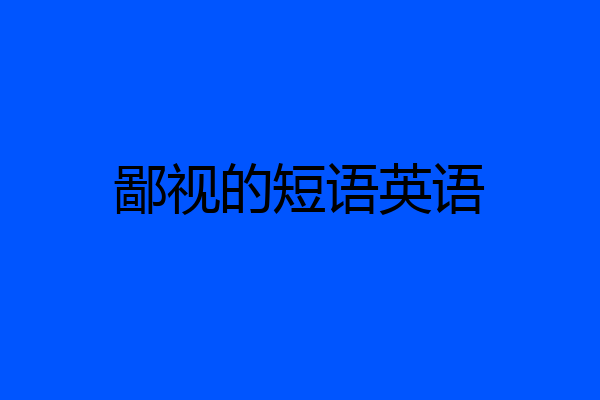 鄙视的短语英语
