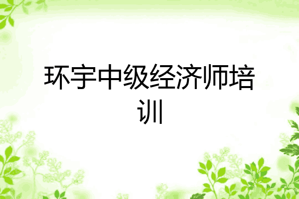 环宇中级经济师培训