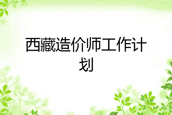 西藏造价师工作计划