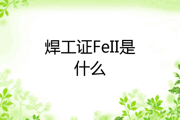 焊工证FeII是什么
