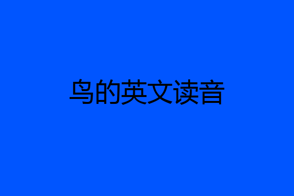 鸟的英文读音