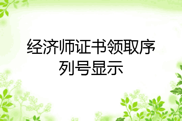 经济师证书领取序列号显示
