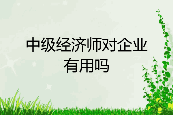 中级经济师对企业有用吗