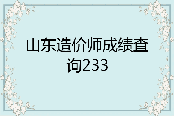 山东造价师成绩查询233