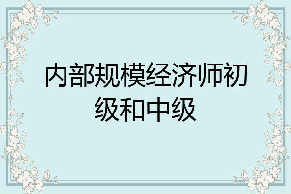 内部规模经济师初级和中级