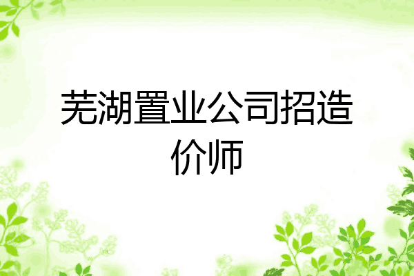 芜湖置业公司招造价师