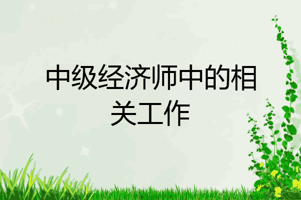 中级经济师中的相关工作