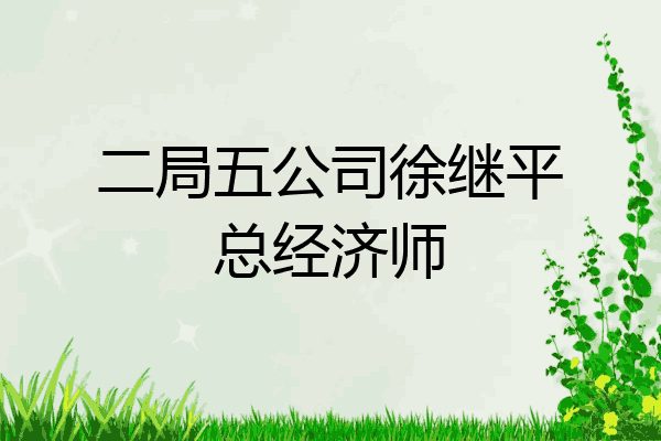二局五公司徐继平总经济师