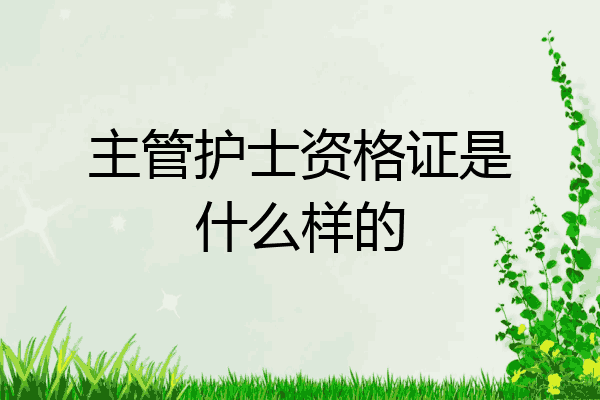 主管护士资格证是什么样的