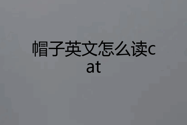 帽子英文怎么读cat