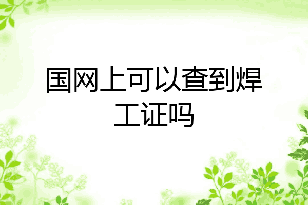 国网上可以查到焊工证吗