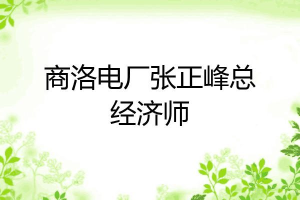 商洛电厂张正峰总经济师