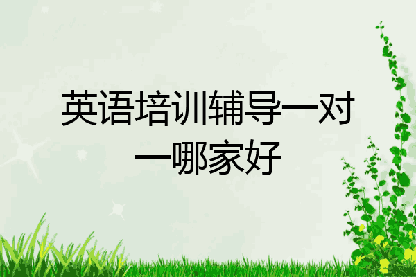 英语培训辅导一对一哪家好