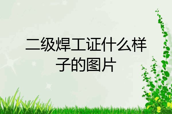 二级焊工证什么样子的图片