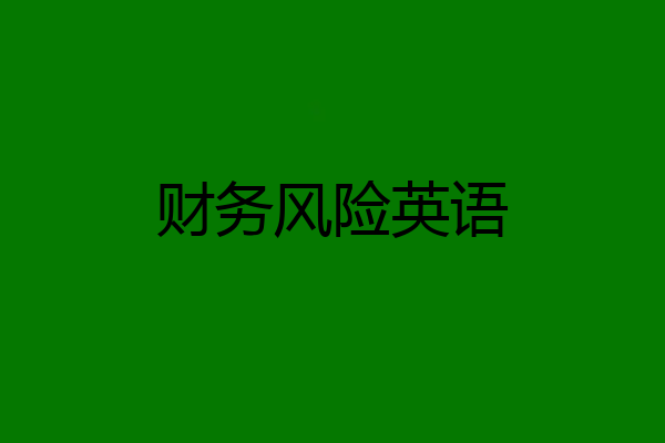 财务风险英语