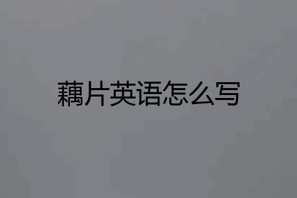 藕片英语怎么写