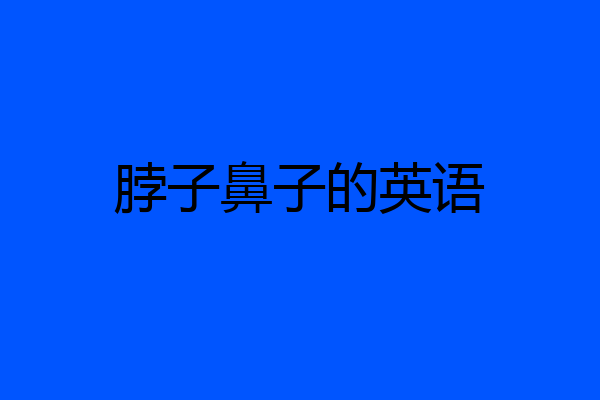 脖子鼻子的英语