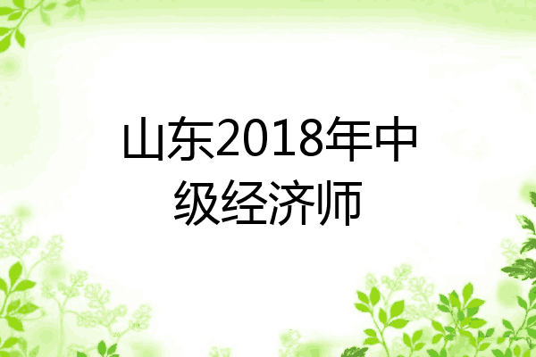 山东2018年中级经济师