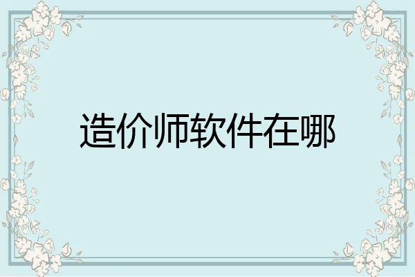 造价师软件在哪
