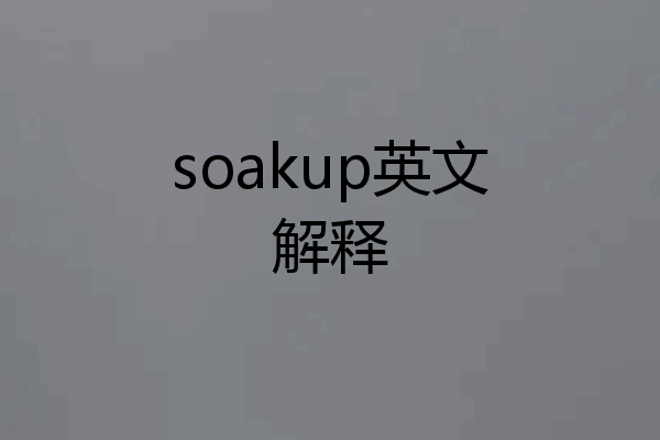 soakup英文解释