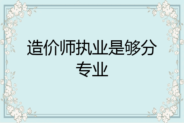 造价师执业是够分专业