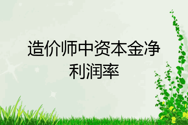 造价师中资本金净利润率