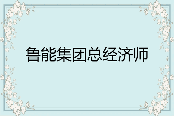 鲁能集团总经济师