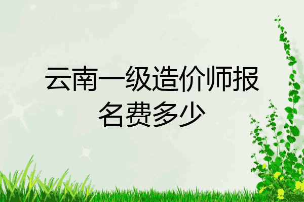云南一级造价师报名费多少