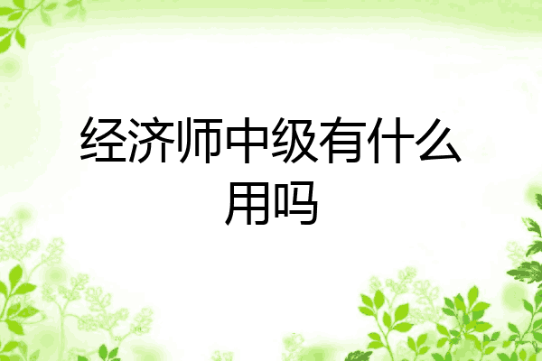 经济师中级有什么用吗