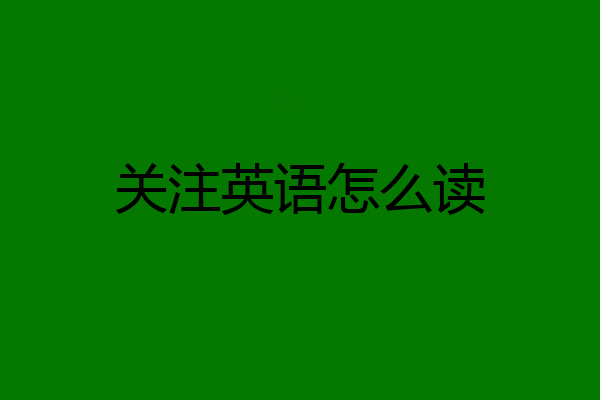 关注英语怎么读