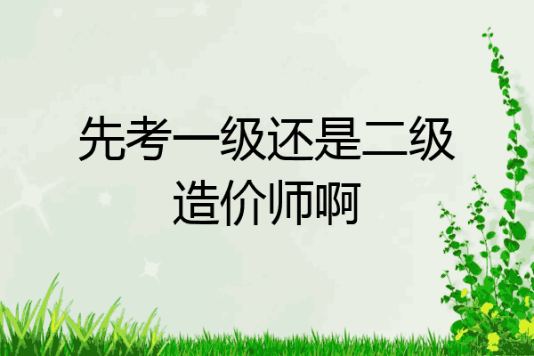 先考一级还是二级造价师啊