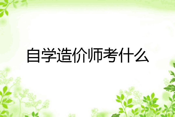 自学造价师考什么