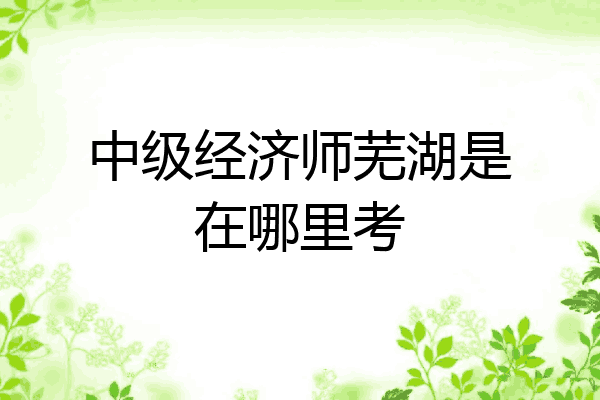 中级经济师芜湖是在哪里考