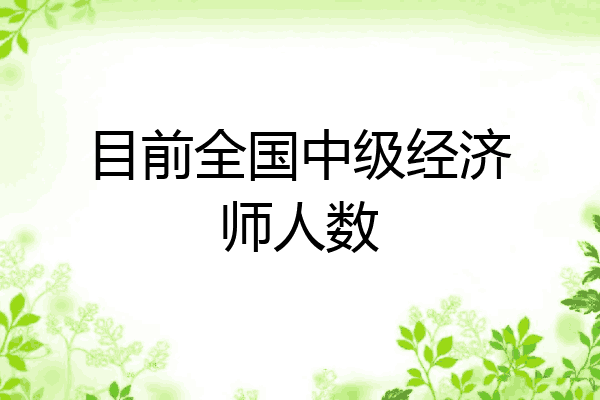 目前全国中级经济师人数