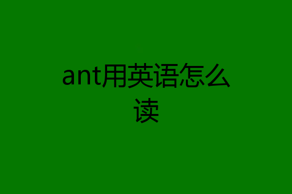 ant用英语怎么读