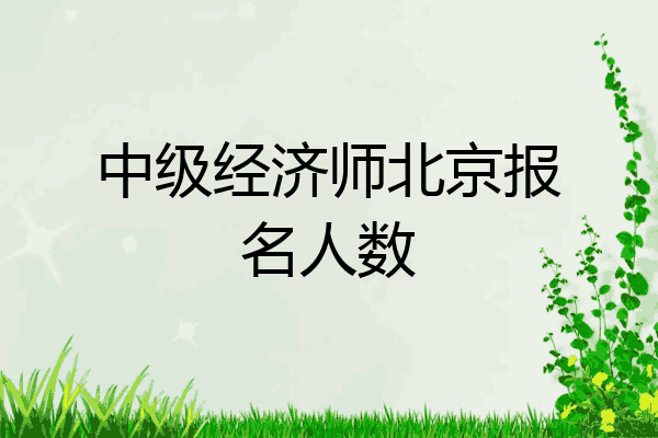 中级经济师北京报名人数