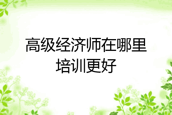 高级经济师在哪里培训更好