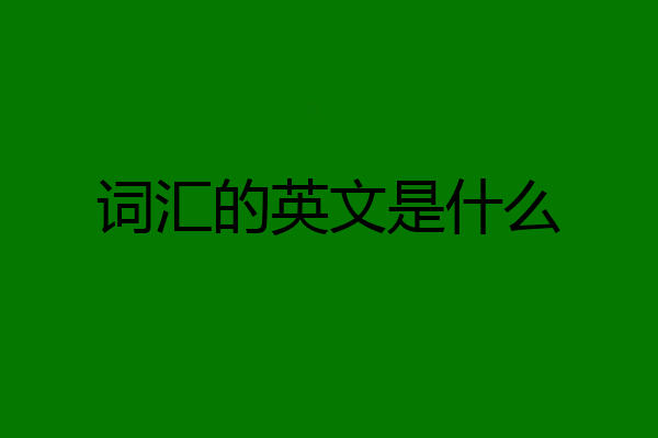 词汇的英文是什么