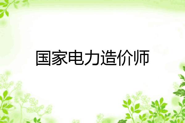 国家电力造价师
