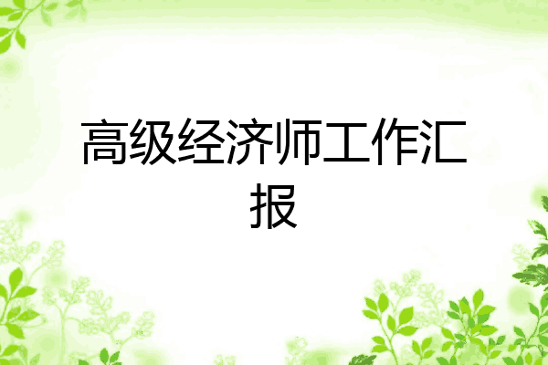 高级经济师工作汇报