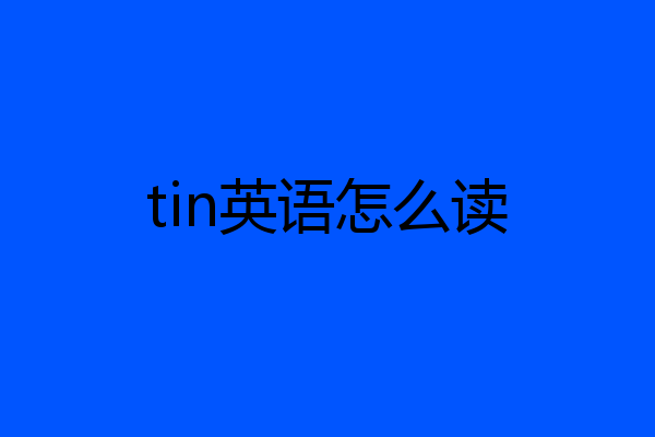 tin英语怎么读