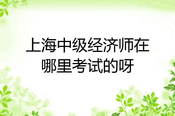 上海中级经济师在哪里考试的呀