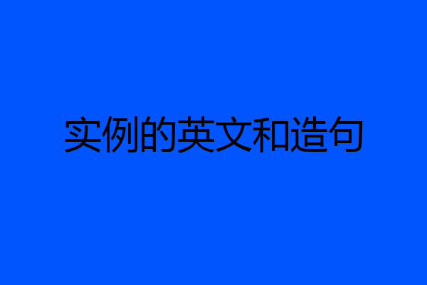 实例的英文和造句