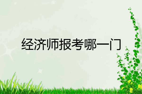 经济师报考哪一门
