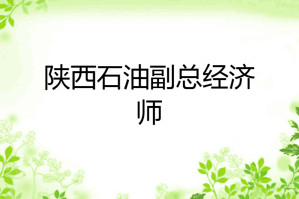 陕西石油副总经济师
