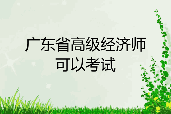 广东省高级经济师可以考试