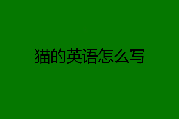 猫的英语怎么写
