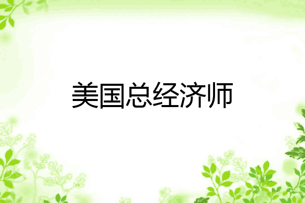 美国总经济师