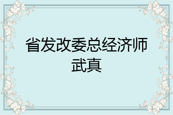省发改委总经济师武真